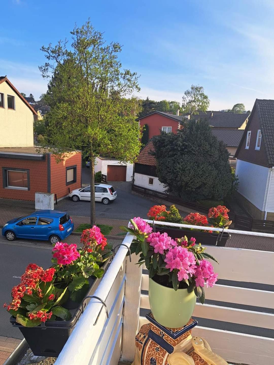 FeWo im Harz Bad Harzburg Exterior foto